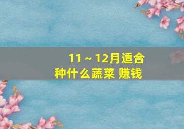 11～12月适合种什么蔬菜 赚钱